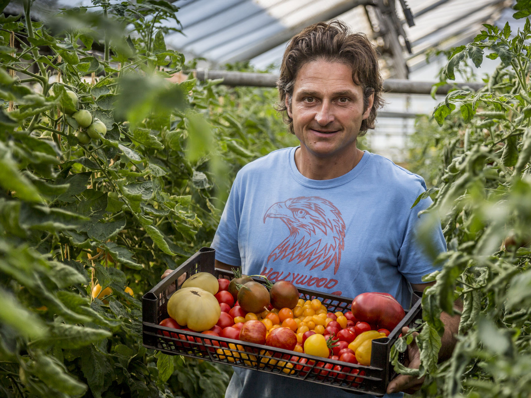 GartenDocs Alles im grünen Bereich